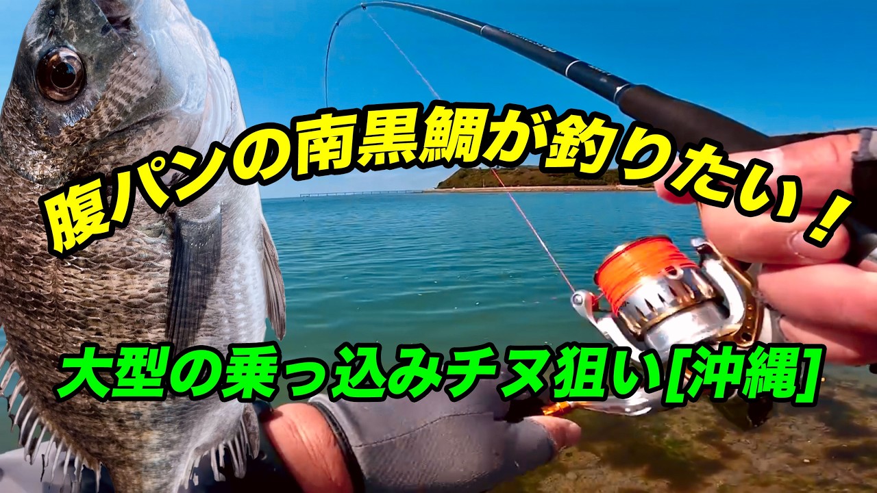 腹パンな南黒鯛が釣りたい！[沖縄]大型の乗っ込みチヌ狙い