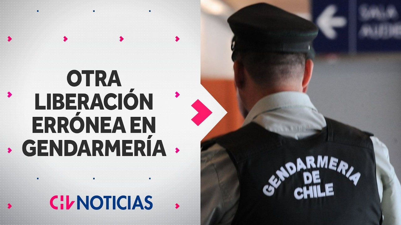 Liberan por error a otro reo tras audiencia en Viña del Mar: Es el segundo caso en misma semana