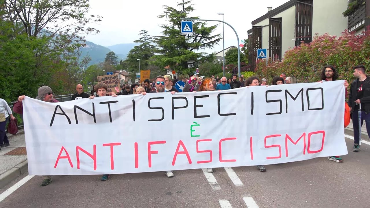 LIVE Trento, animalisti in corteo contro l'abbattimento dell'orsa JJ4: diretta video