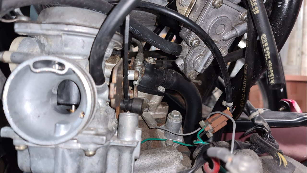 Peugeot Elyseo 125 Vergaser zerlegen und ab in das Ultraschallbad zum reinigen..Von A -Z