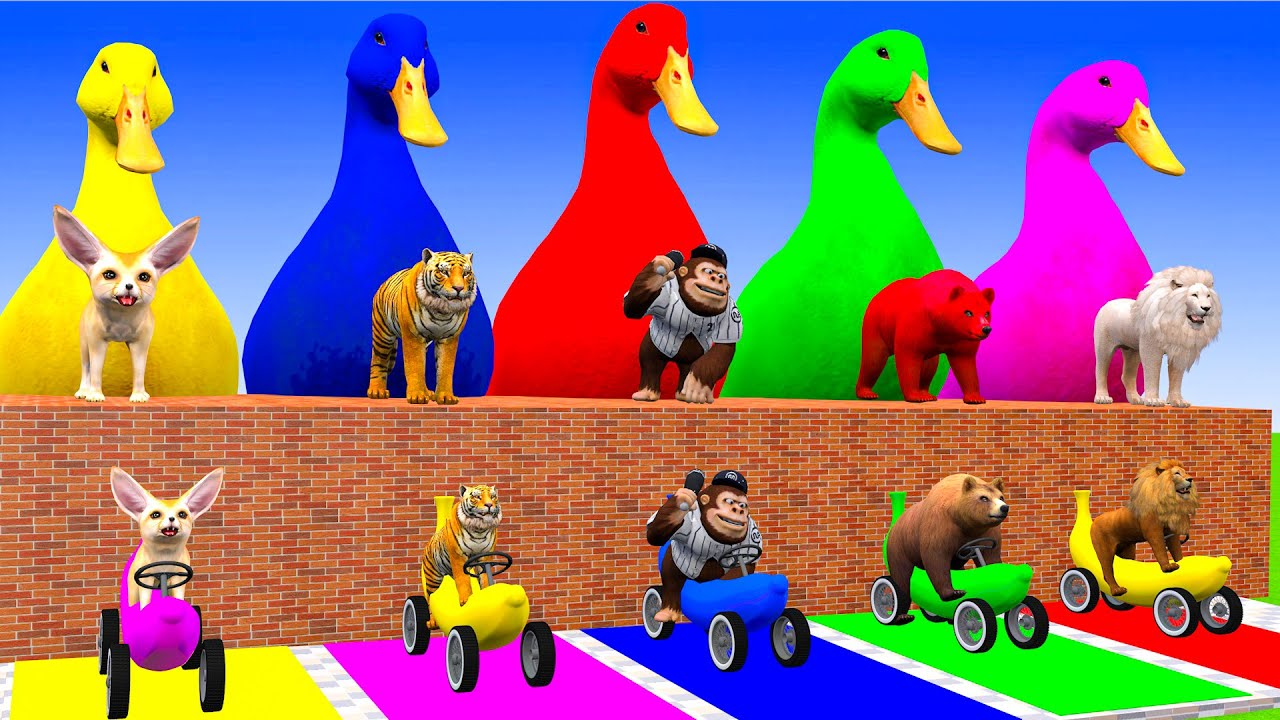 Long Slide Game With Elephant Gorilla Buffalo Hippopotamus Tiger 3d Animal Game Funny 3d Animals