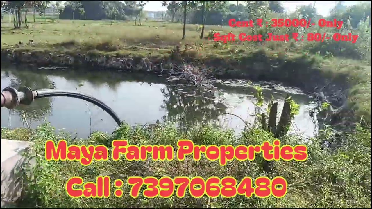 farm land for sale in Olakkur Village near Tindivanam 