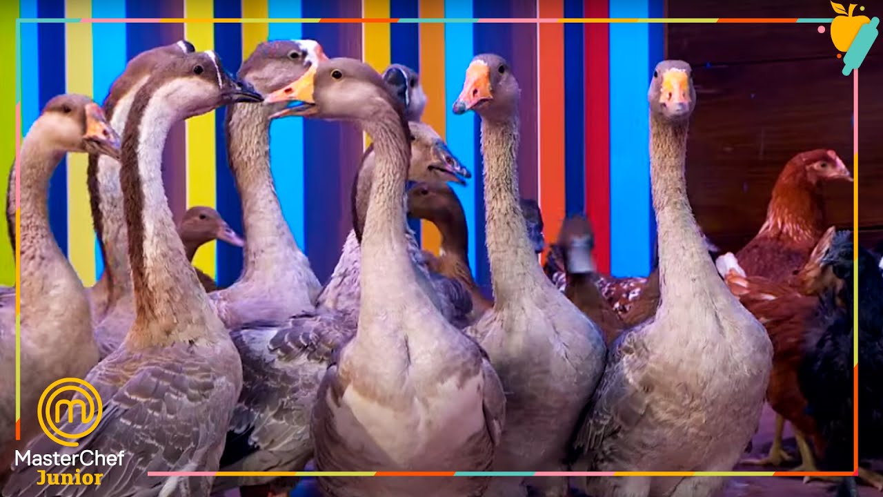 ¡¡LAS COCINAS SE LLENAN DE AVES!! | MasterChef Junior 8