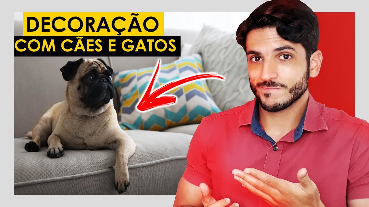 DECORAÇÃO PARA QUEM TEM CACHORROS E GATOS EM CASA OU APARTAMENTO