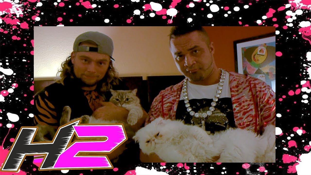 H2tv Episode 2: Moonsaulting Cats