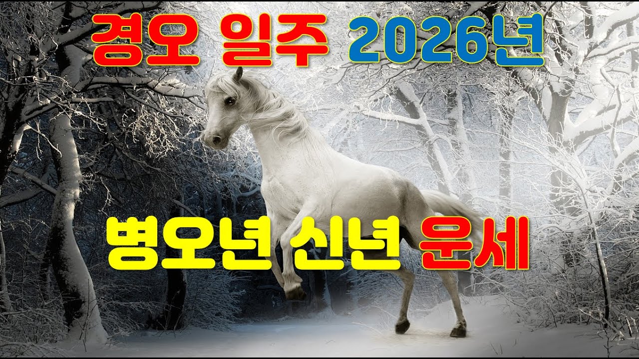 경오일주, 2026년 병오년 신년운세 사주분석