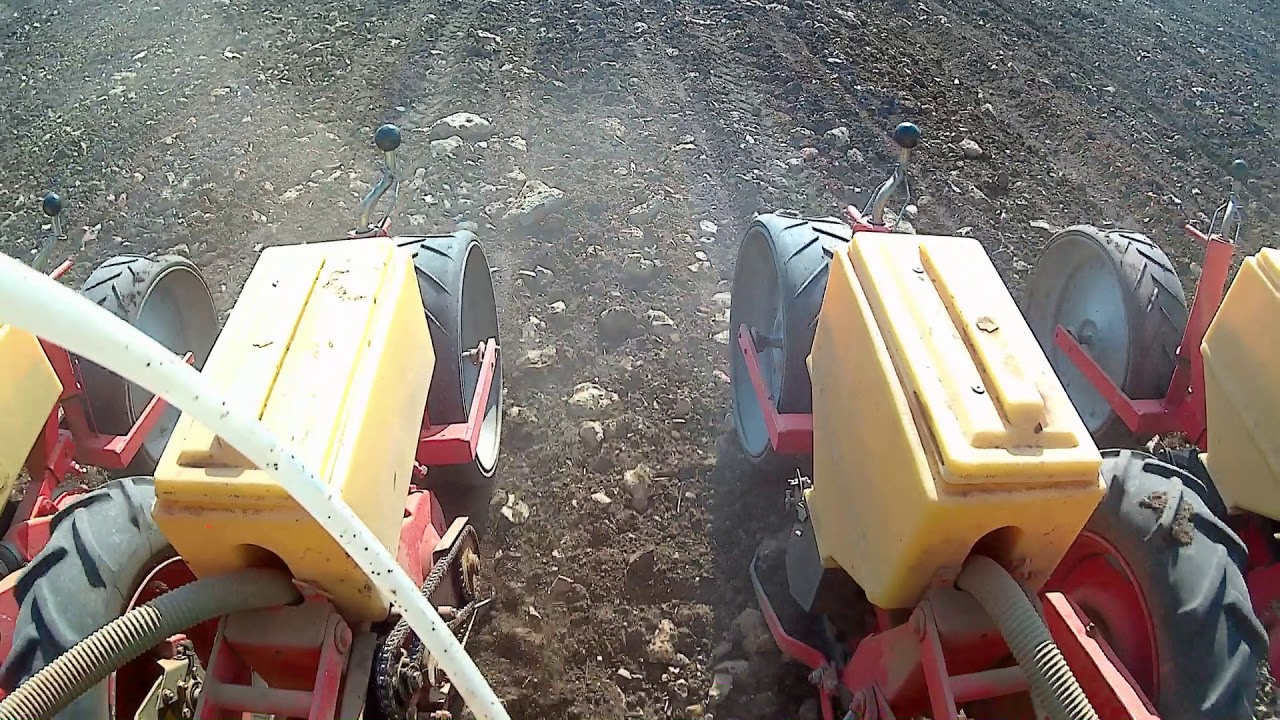 Maissaat 2018 mit Deutz D 6806 und Hassia