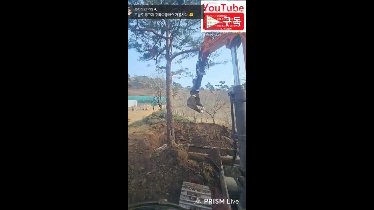 땅그지  나무꾼 굴삭기 26년2월4일 오늘도 나무와의전쟁#공투#소통#홍성#korean굴삭기#굴착기#포크레인#excavator