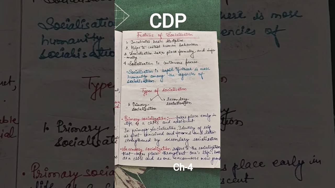 👉 CDP Chapter 4 | Child Development & Pedagogy | Teaching Exams #cdp #shortsvideo #shorts #viral