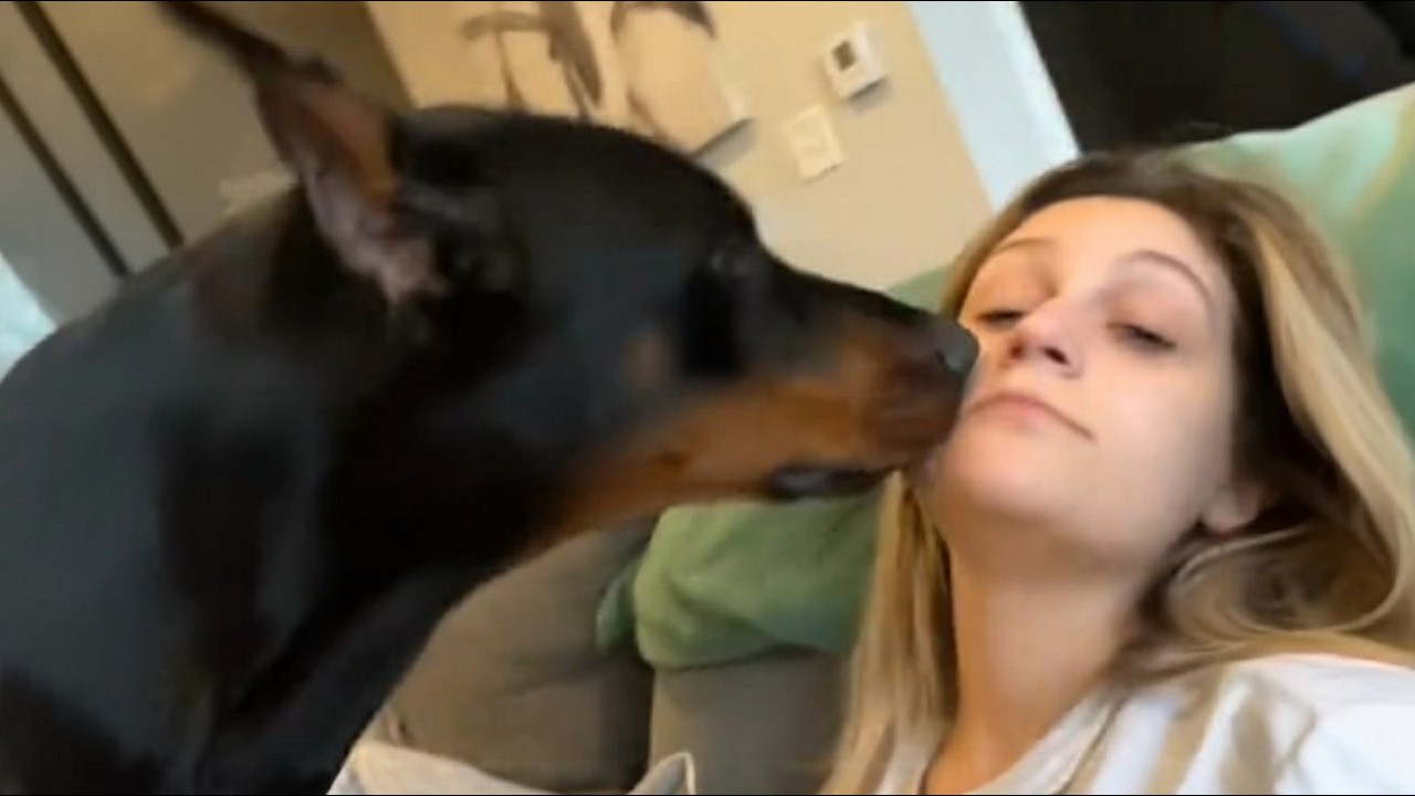 90lb Doberman REFUSES to Stop Licking This Woman's Face—What the Vet Revealed Will SHOCK You