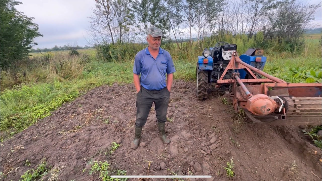 Відкрили сезон вибирання картоплі!