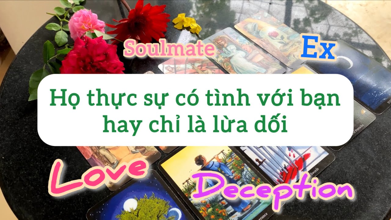HỌ THỰC SỰ CÓ TÌNH CẢM VỚI BẠN HAY CHỈ LÀ LỪA DỐI_Chọn 1 tụ bài