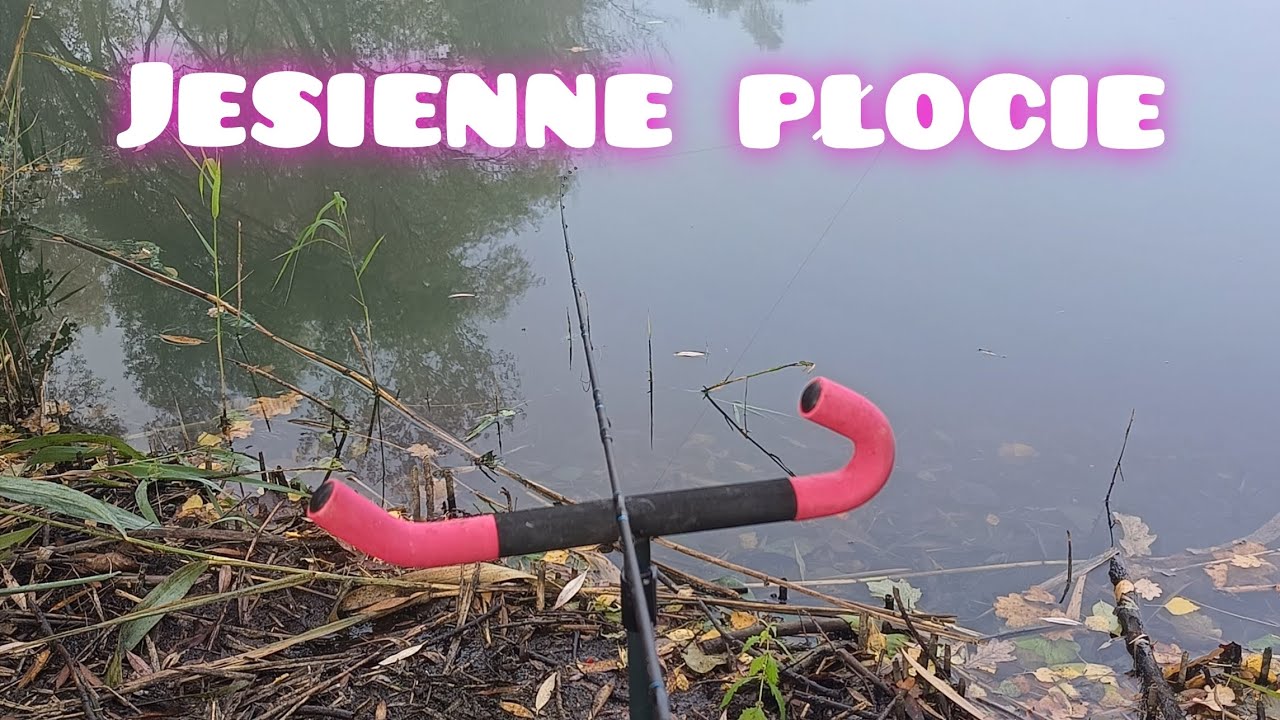 Jesienne płocie na feedera. 