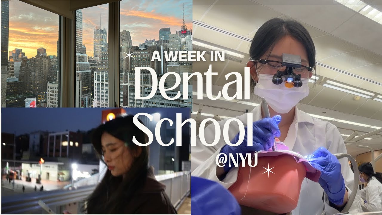 Dental school vlog in NYC | 뉴욕 치대생 브이로그