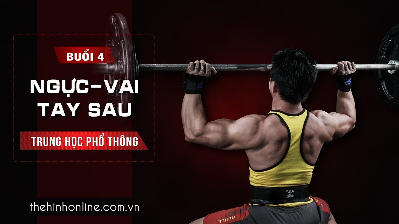 Giáo án thể hình tăng cơ 6 buổi Ngực Vai Tay Sau | THPT