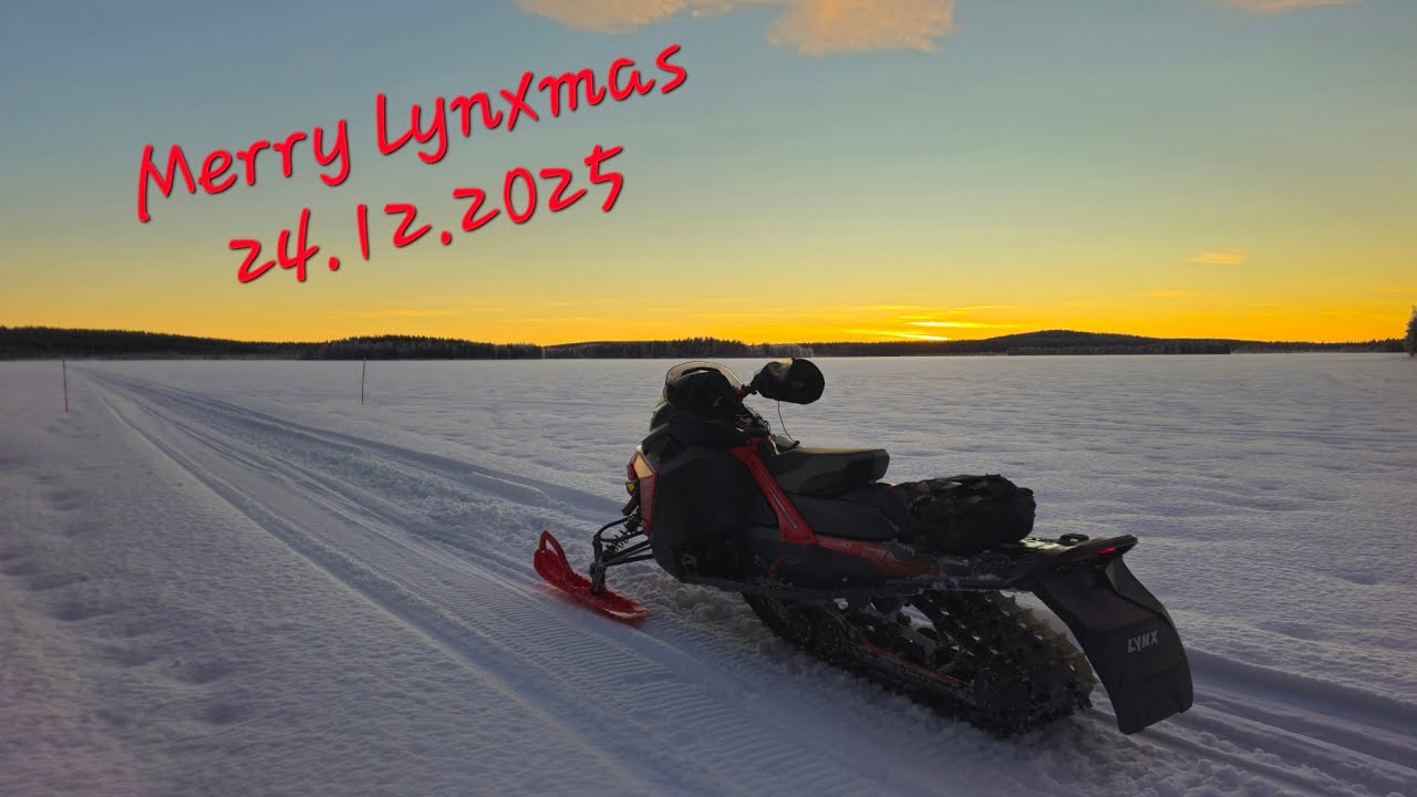 Merry Lynxmas 24.12.2025