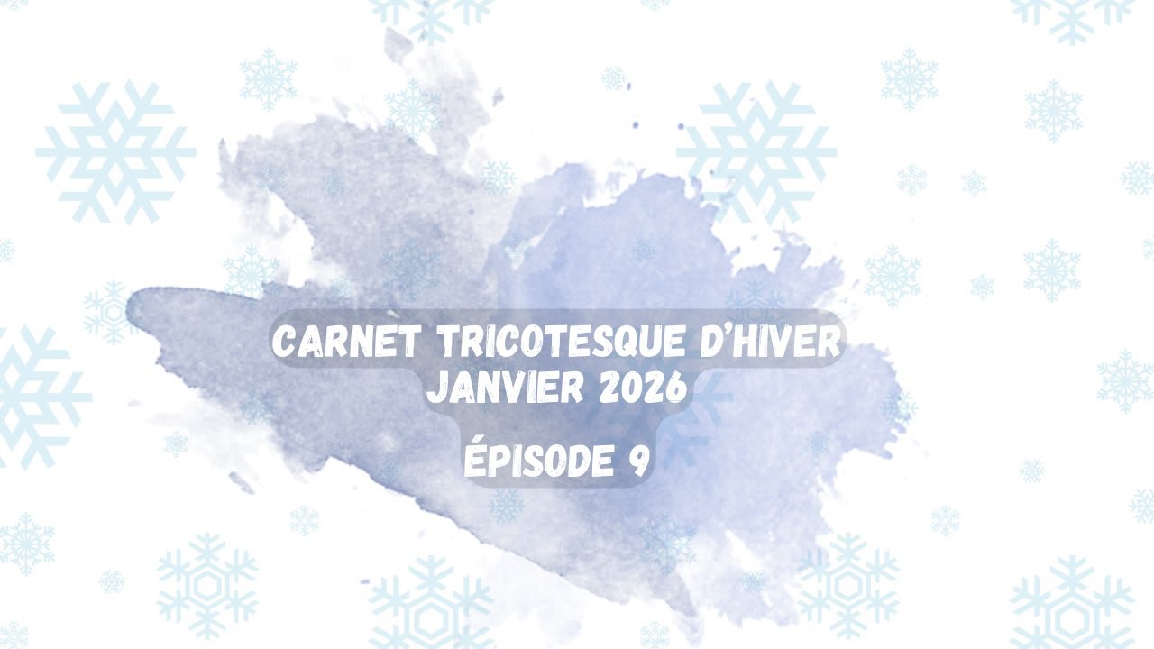 carnet tricotesque d'hiver E9 : #vlogtricot  du 16 au 19 janvier 2026