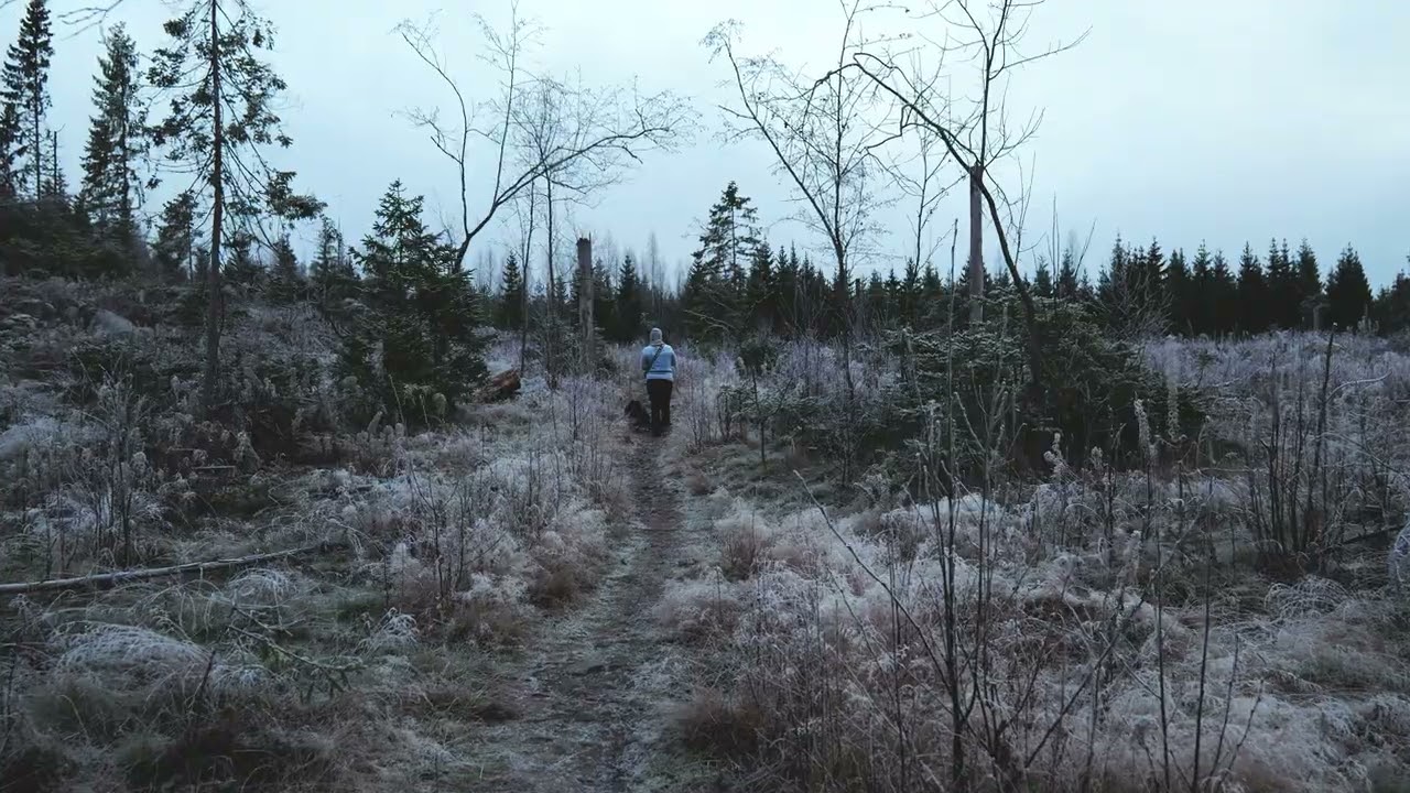 Lumix S5 II 4k video test, custom realtime LUT