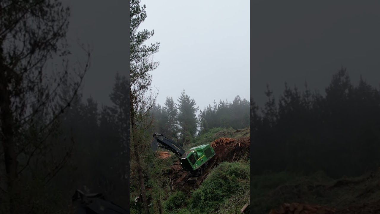 Shovel john Deere en acci&oacute;n 💪🪵🌲🦌