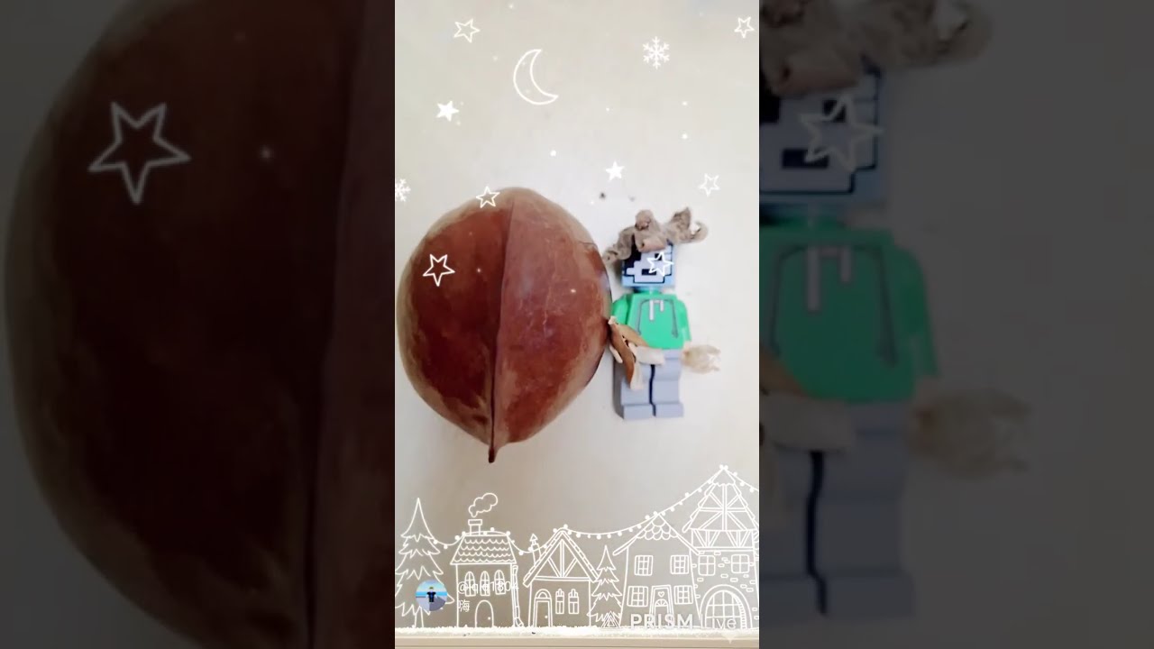 來bundle種子小禮物