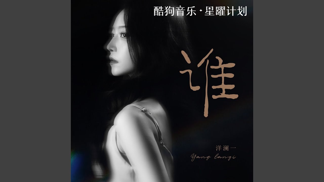 谁 (DJR7版)