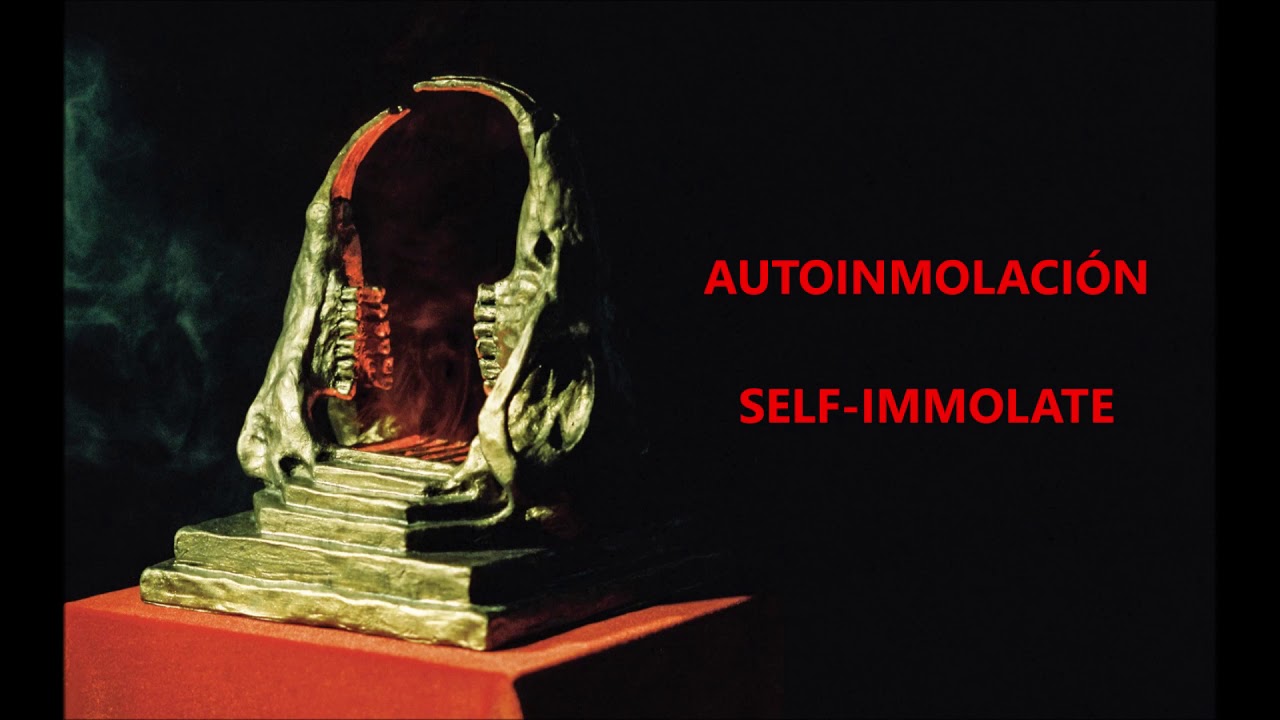 King Gizzard & The Lizard Wizard - Self-Immolate (sub/lyrics)