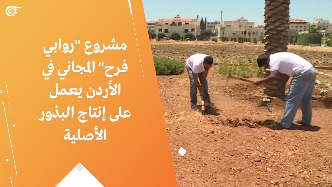 مشروع 