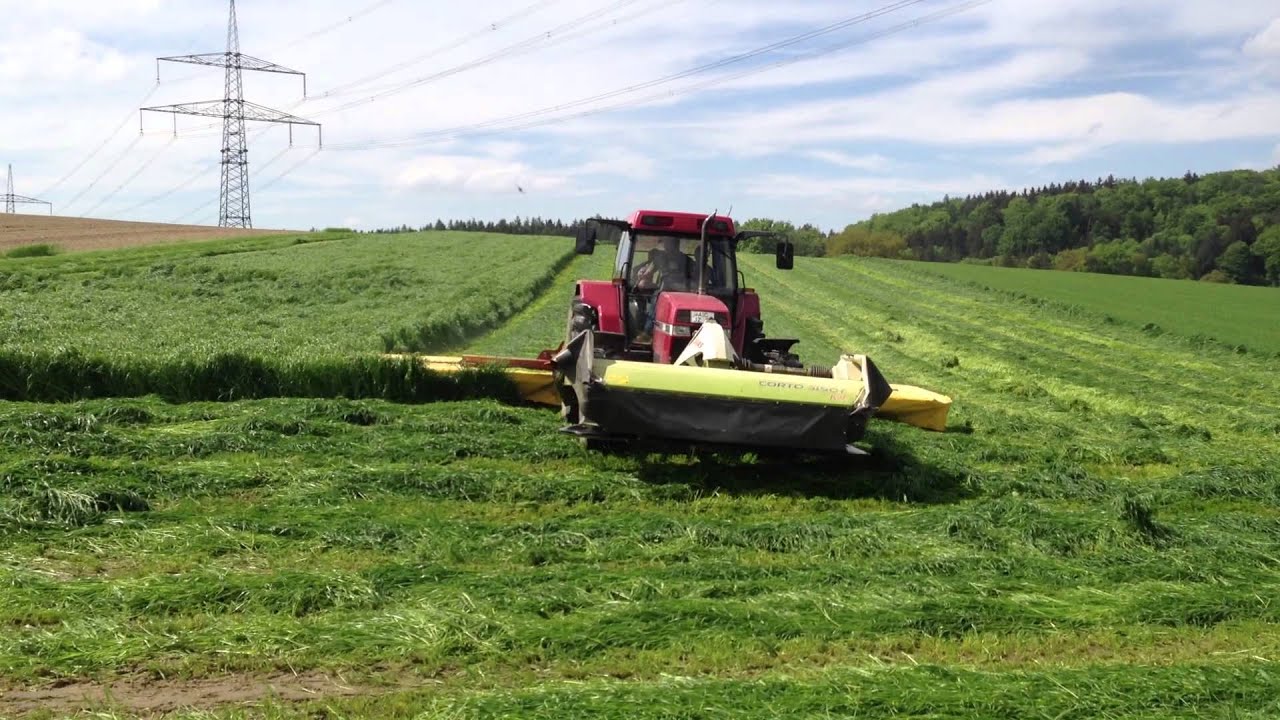Silo Mähen mit CASE 5130,CLAAS CORTO 3150F und NIEMEYER SM 850 Schmetterling