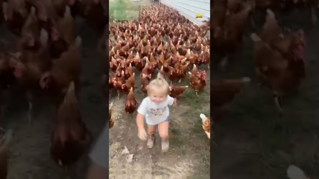 When Animals Meet Tiny Humans #shorts