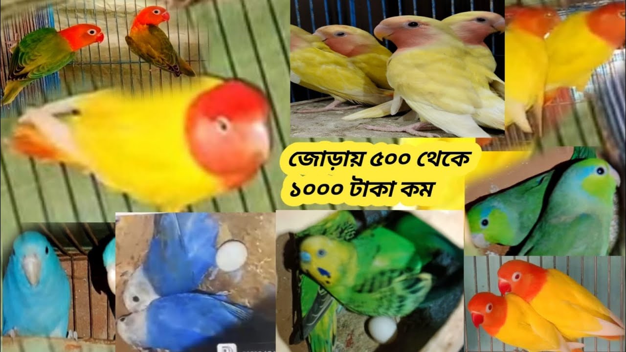 ঈদ উপলক্ষে আবারও দাম কমানো হলো
