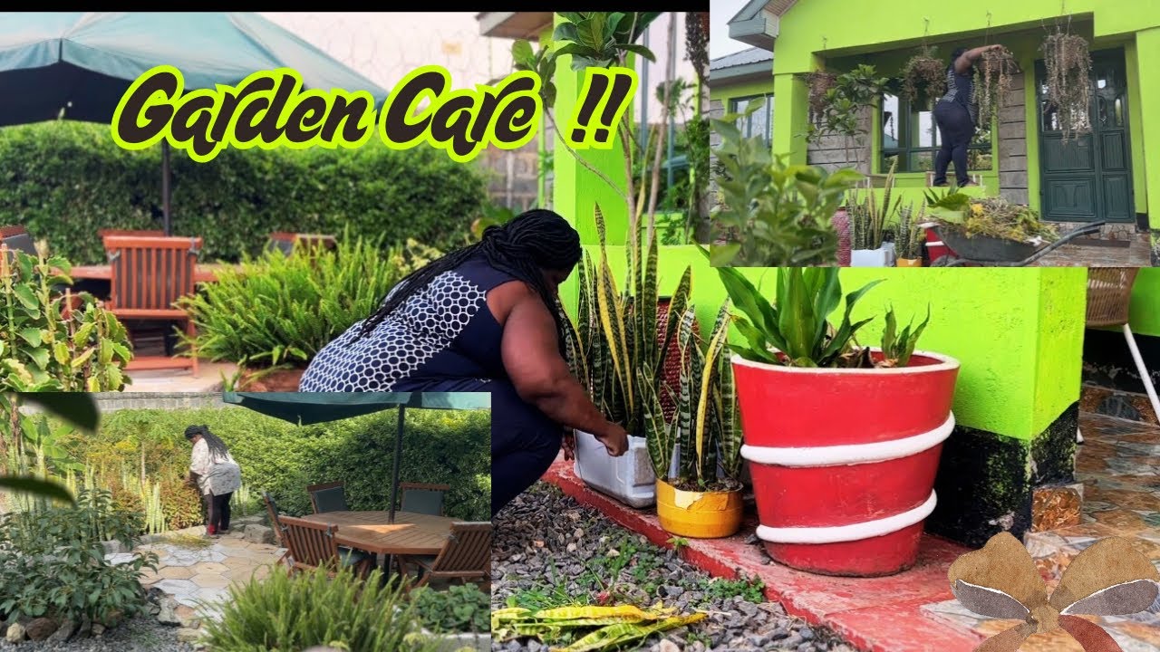 [Slow Living]“Peaceful Homestead Morning 🌞 | Garden Care, Nature Sounds & Mindful Moments”