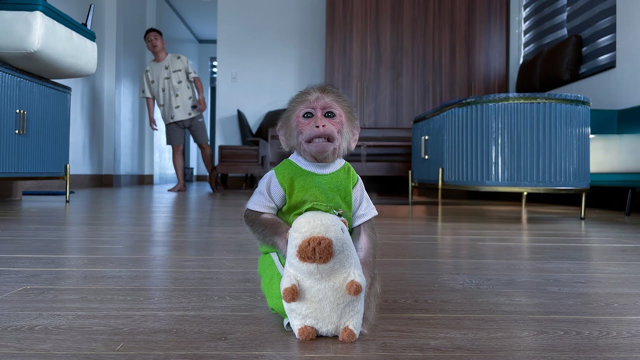 Cubis Is Tired and Can't Sleep, So He Searches for Dad!