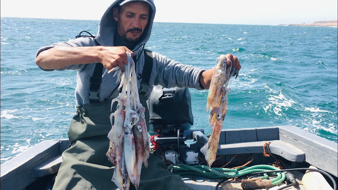 اغرب و احداث طريقة لاصطياد الحبار الكلمار العملاق الصيد التقليدي في الاعماقModern fast squid fishing