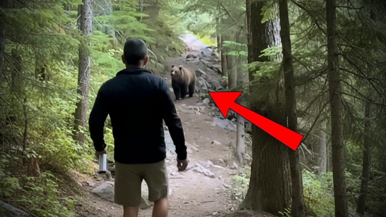 6 Encuentros de CAMPAMENTO que NO Deberías Haber Visto