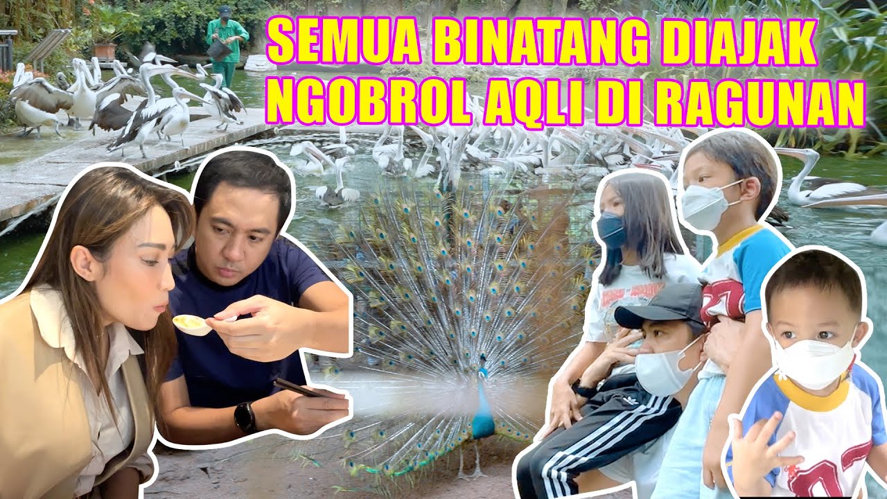 SEMUA BINATANG DIAJAK NGOBROL AQLI DI RAGUNAN