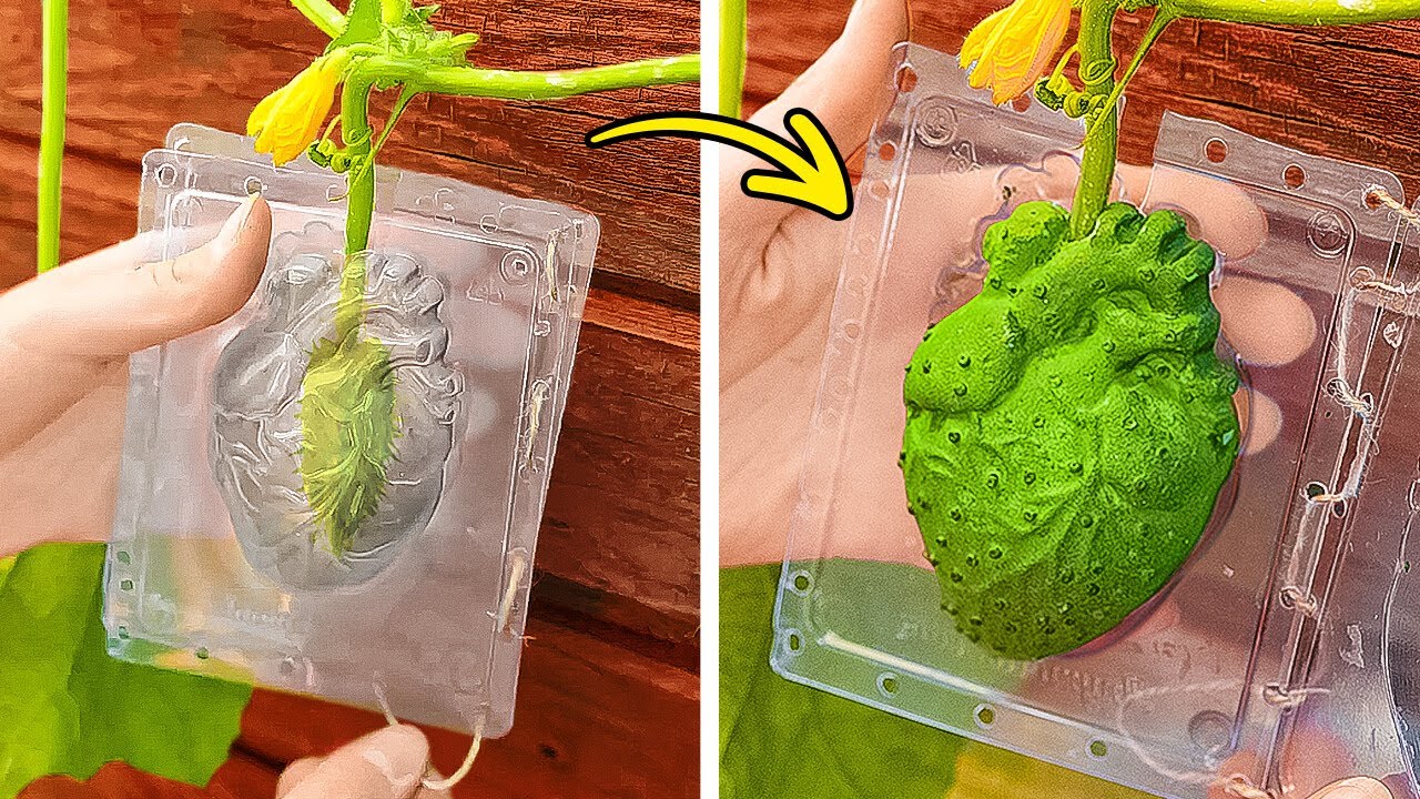 Idéias incríveis para jardinagem 🌸 Guia definitivo para cultivar um jardim próspero🌿