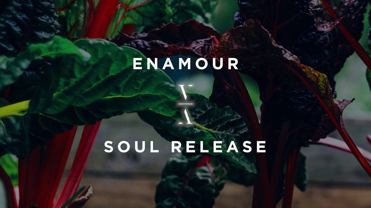 Enamour - Soul Release