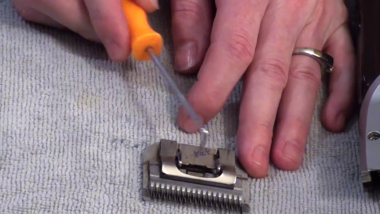 Clipper blade care - Troubleshooting Clipper Blade Issues (part 2 of 2)