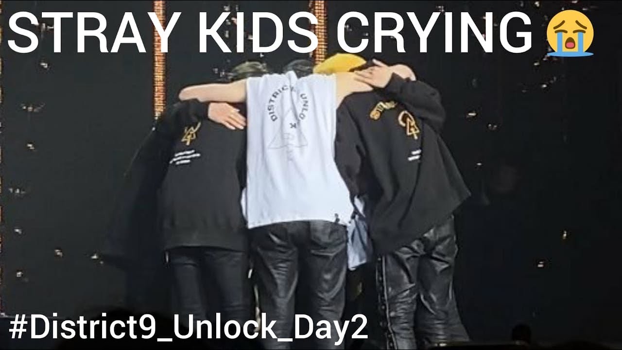 [STRAY KIDS] Try Not To Cry Challenge