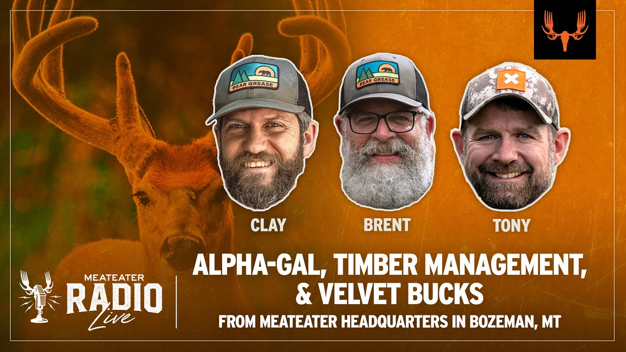 Alpha-Gal, Timber Management, and Oozing Velvet Bucks | MeatEater Radio Live! Ep. 742