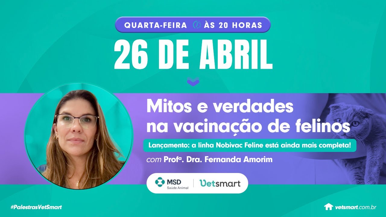 Mitos e verdades na vacinação de felinos