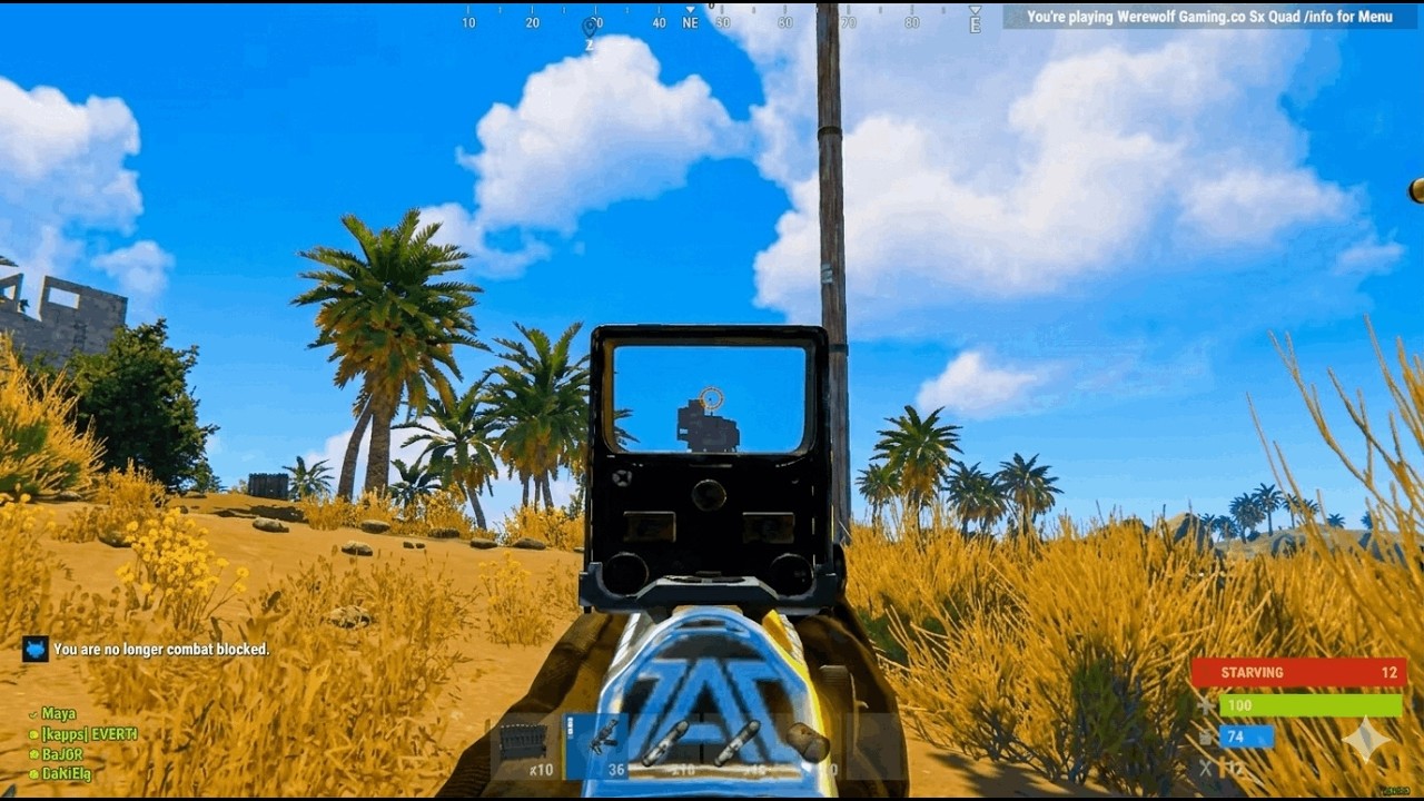 x5 Enjoyer | Rust PvP Montage