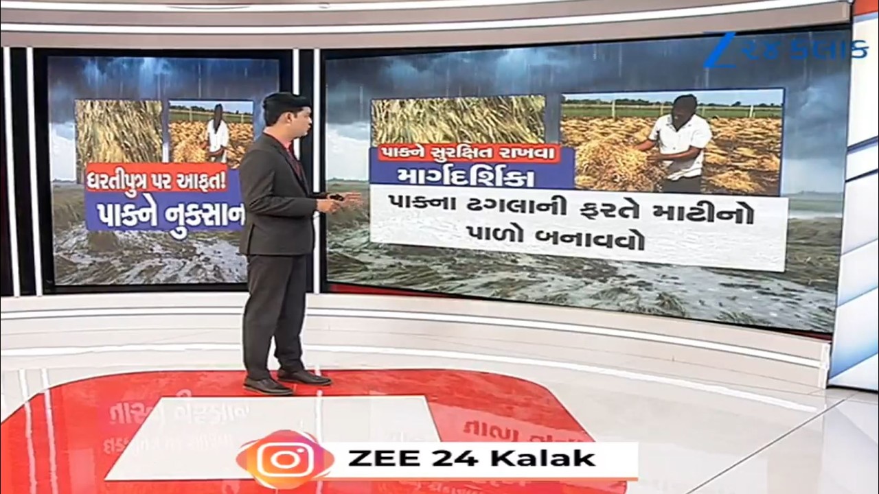 Amid unseasonal rainfall in Gujarat, here's how farmers can save their crops | Unseasonal Rains