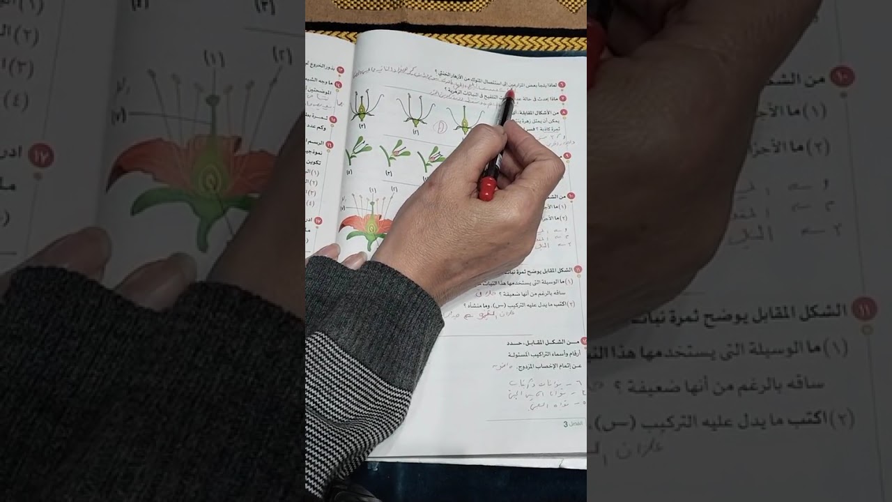 حل اسئلة المقال علي التكاثر في الإنسان وحل اسئلة الاعوام السابقة علي الدرس الثالث كتاب الامتحان 26
