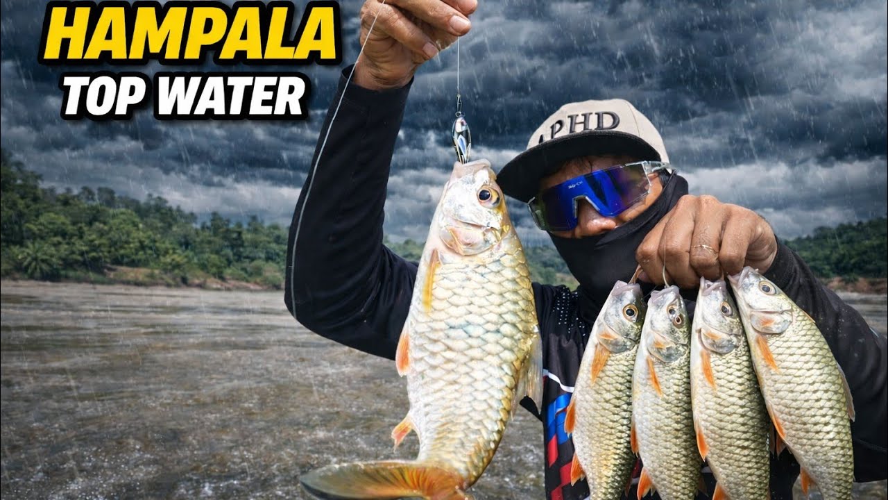 CASTING HAMPALA TOP WATER UJI PERFORMA REEL RASTABAN LITE DC DI AIR KERUH