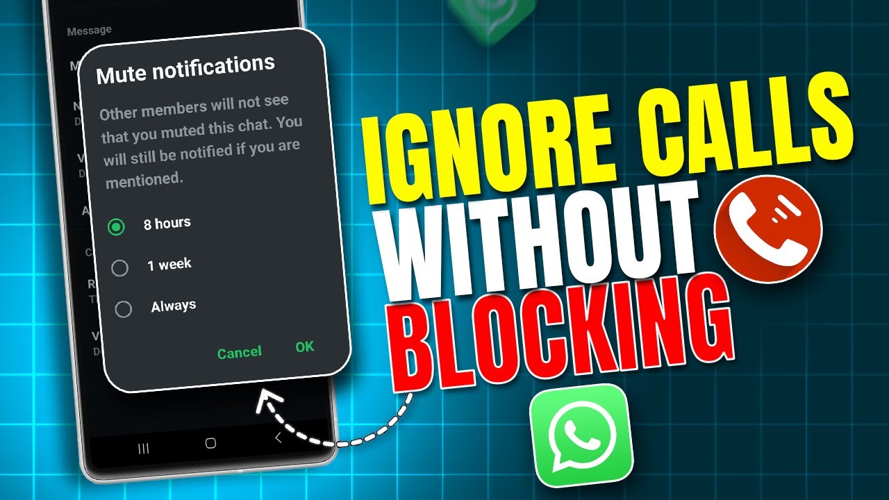 How to Ignore Calls Without Blocking on WhatsApp | Silence WhatsApp Calls Easily