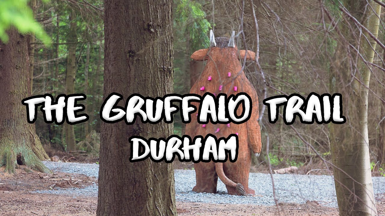 The Gruffalo Trail - Hamsterley Forest Durham UK