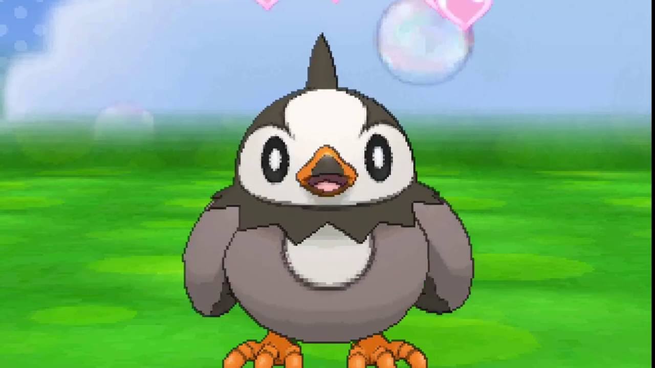 ポケパルレ　ムックルと戯れるだけの動画