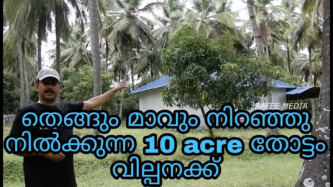#10 Acre #coconut #mango #farm #for sale #Palakkad (SOLD OUT)