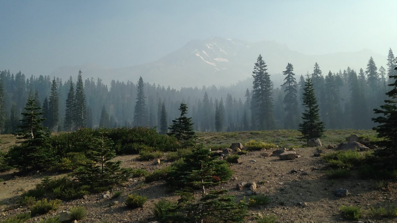Akashic Records of Bunny Flat in Mt. Shasta, California